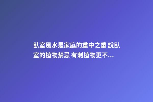 臥室風水是家庭的重中之重 說臥室的植物禁忌 有刺植物更不宜擺在